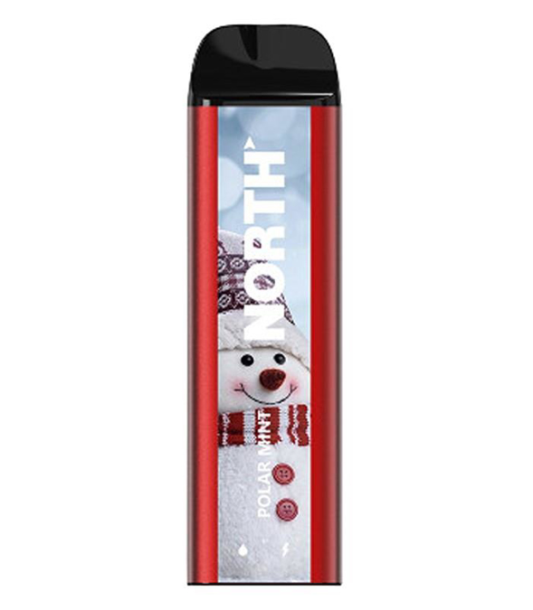 Picture of North Polar Mint 5000Puffs 10CT